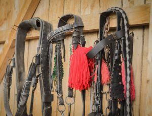 Zaumzeug Trense Zügel Holzpferd Zubehör Garten
