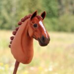 Ein Steckenpferd wie es für Hobby Horsing verwendet werden kann.