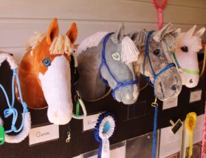 Steckenpferde. Selbstverständlich gehört auch die Prämierung der Gewinner zum Hobby Horsing.